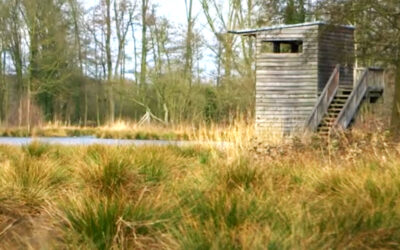 Der Naturparkfilm – Sehenswertes vom Naturpark Schwalm-Nette