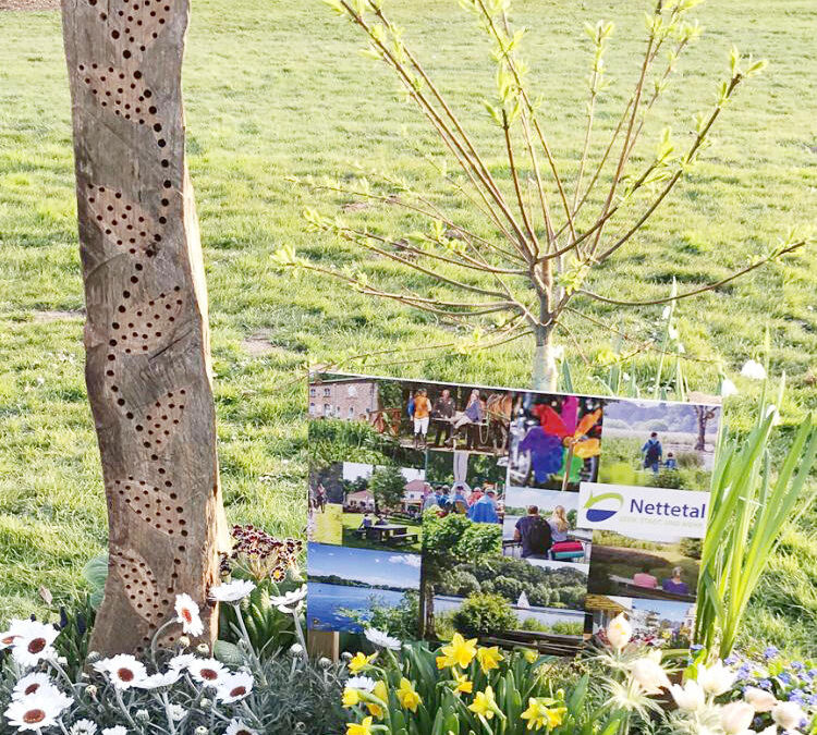 Insektenhotels für alle Nettetaler Stadtteile