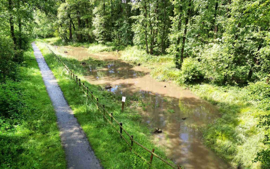 Europa ist auch in Nettetal vor Ort