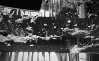 Die Ballade von Dories